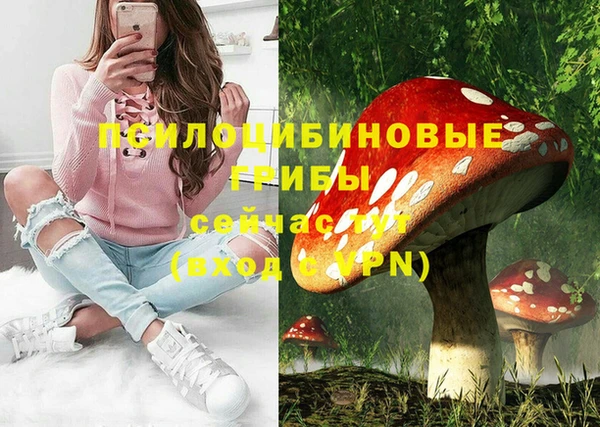дживик Дмитровск