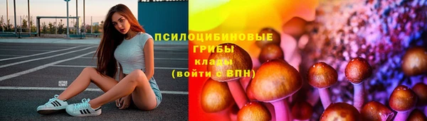 стафф Дмитров