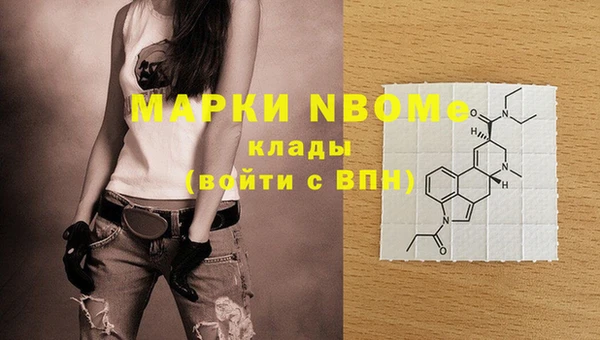 стафф Дмитров