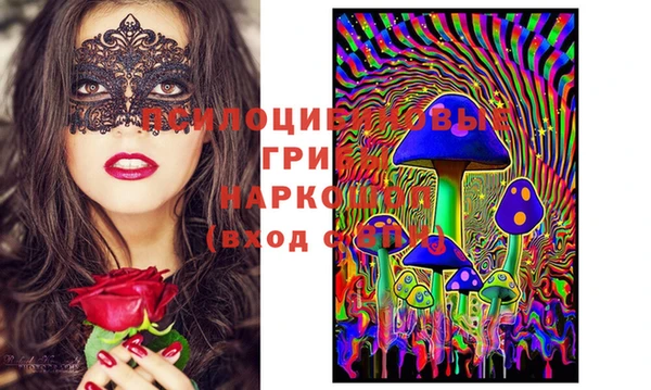 стафф Дмитров