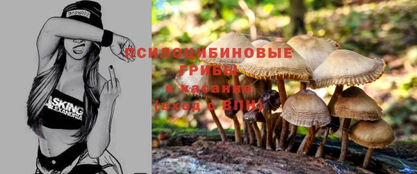 дживик Дмитровск