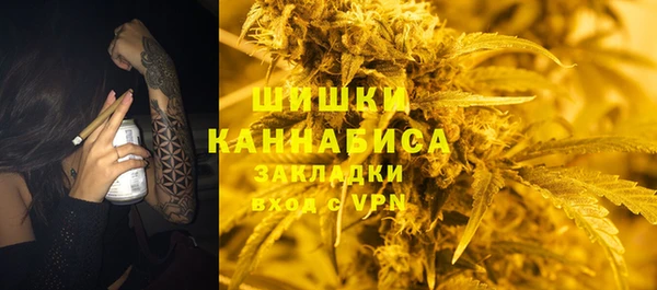 стафф Дмитров